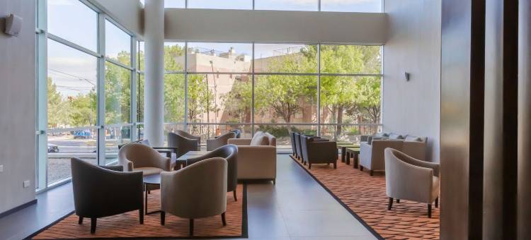 内乌肯希尔顿花园酒店(Hilton Garden Inn Neuquen)图片