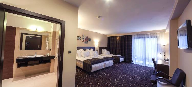 齐姆尼克华丽自然酒店(Hotel Zimnik Luksus Natury Spa & Wellness)图片