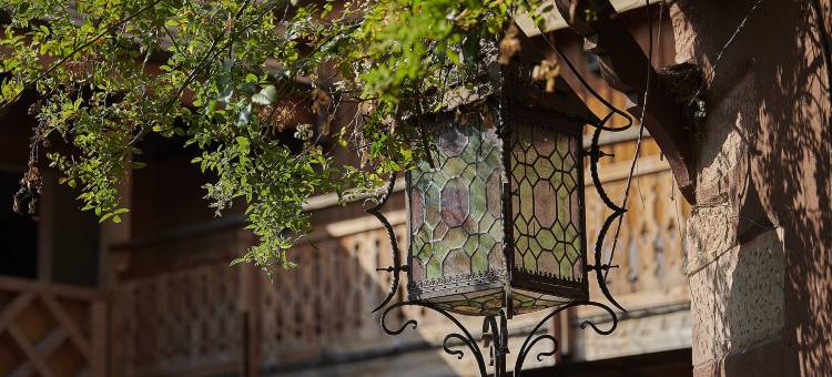 钓鱼藤水疗中心酒店(Pêche de Vigne & Spa)图片