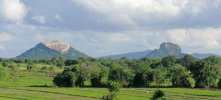有机花园席格里亚酒店(Organic Garden Resort Sigiriya)图片