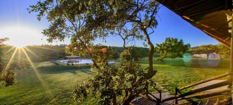 坎本尼野生动物园营地(Nkambeni Safari Camp)图片