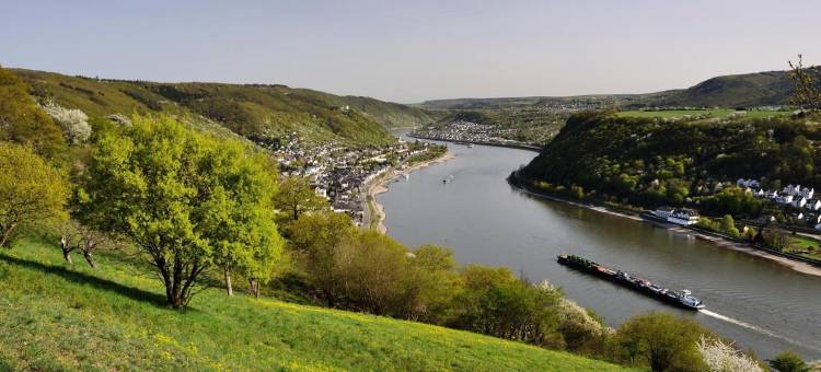 莱茵国王酒店(Hotel Rheinkönig)图片