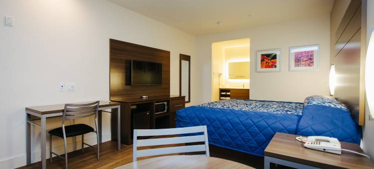 蓝城中心宫殿旅馆(Palace Inn Blue City Centre)图片