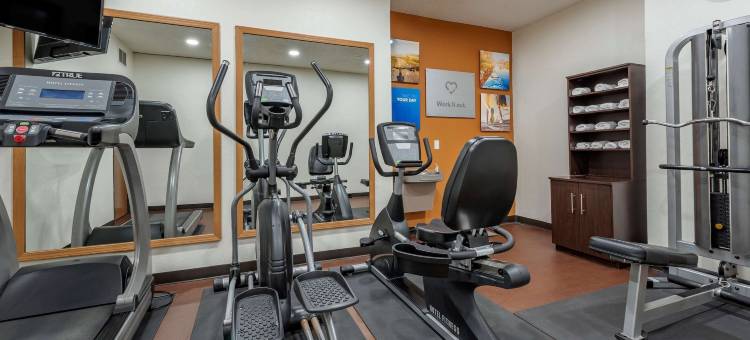 奥本I-69附近舒适套房酒店(Comfort Suites Auburn Near I-69)图片