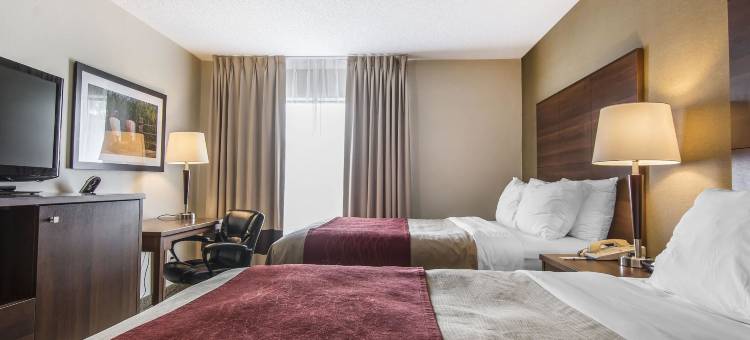 舒适酒店(Comfort Inn)图片