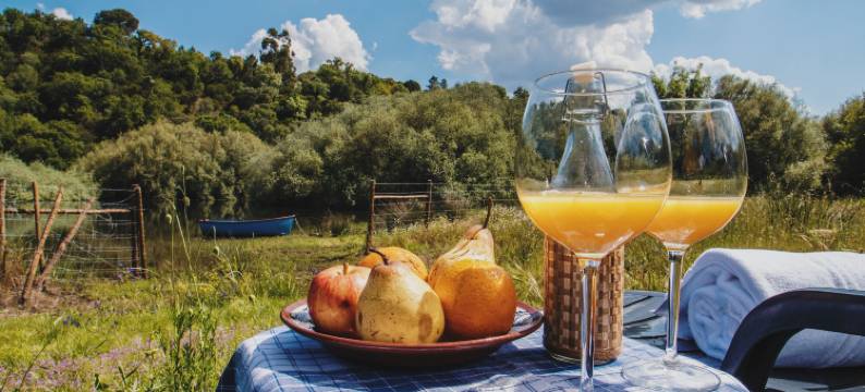 昆塔萨达德酒店(Quinta da Saudade)图片