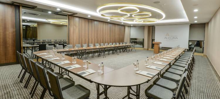 安卡拉Alegria商务酒店(Ankara Alegria Business Hotel)图片
