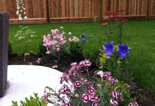 Imperial House Hotel Overview