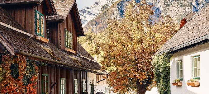 TAUROA 克伦(Tauroa Krenn)图片