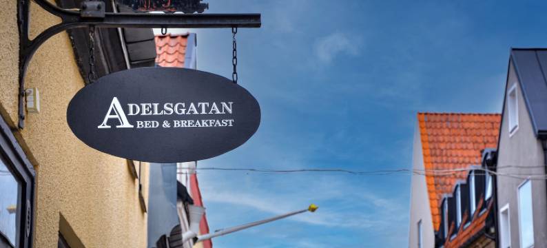 阿德尔斯加坦民宿(Adelsgatan Bed & Breakfast)图片