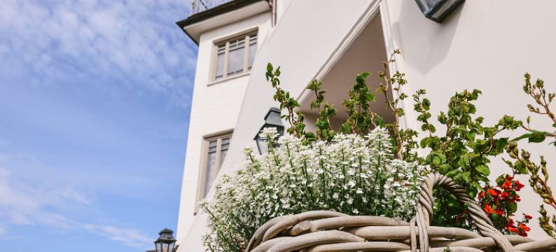 Mimosa套房(Mimosa Suites)图片