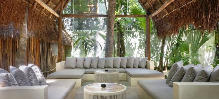 特拉苏里维埃拉玛雅酒店&水疗中心，位于斯卡雷特(Terasu Riviera Maya Hotel & Spa, en Xcaret)图片