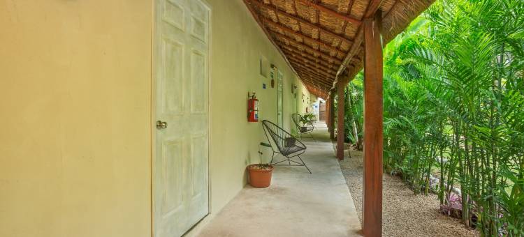 玛雅土地庇护所 Spa 酒店(Tierra Maya Hotel Spa & Sanctuary)图片