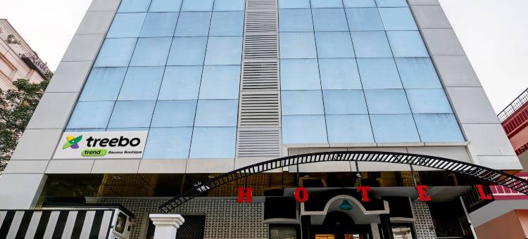 Itsy酒店香蕉精品店(Itsy Hotels Banana Boutique)图片