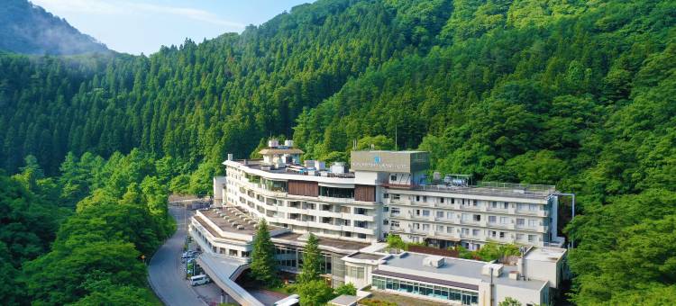 大江户温泉物语 东山大酒店(Ooedo Onsen Monogatari Higashiyama Grand Hotel)图片