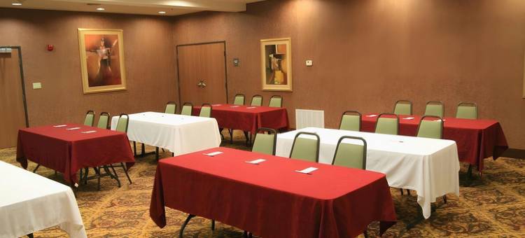 布朗斯维尔假日酒店(Holiday Inn Brownsville)图片