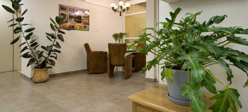 佐哈巴德施酒店(Zohar Badeshe)图片