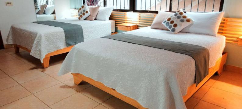 黄金三叶草床和早餐(Trebol Amarillo Bed & Breakfast)图片