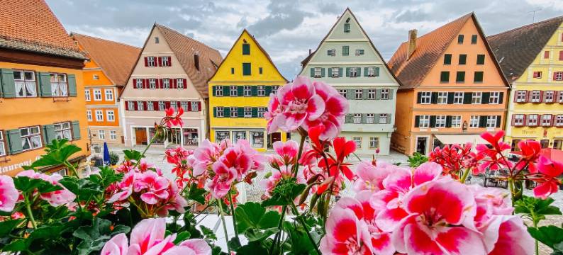 阳光酒店(Hotel Gasthaus Zur Sonne)图片