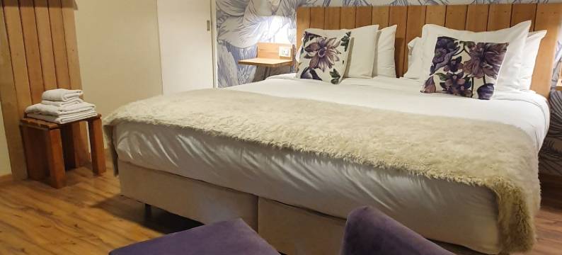 阿贵拉斯精品酒店(Posada de las Aguilas Hotel Boutique)图片