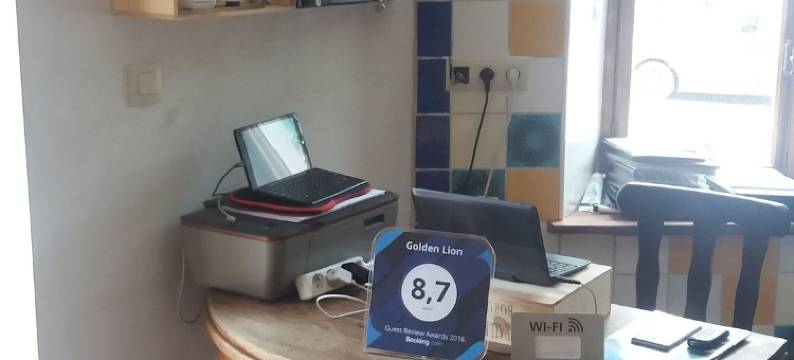 金狮住宿加早餐旅馆(Golden Lion)图片