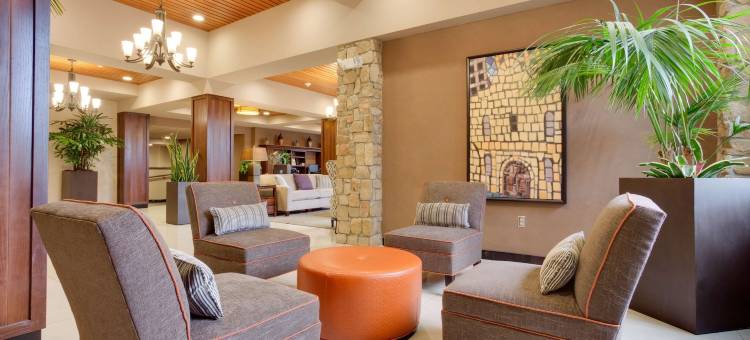 圣安东尼奥机场德鲁里广场酒店(Drury Plaza Hotel San Antonio Airport)图片