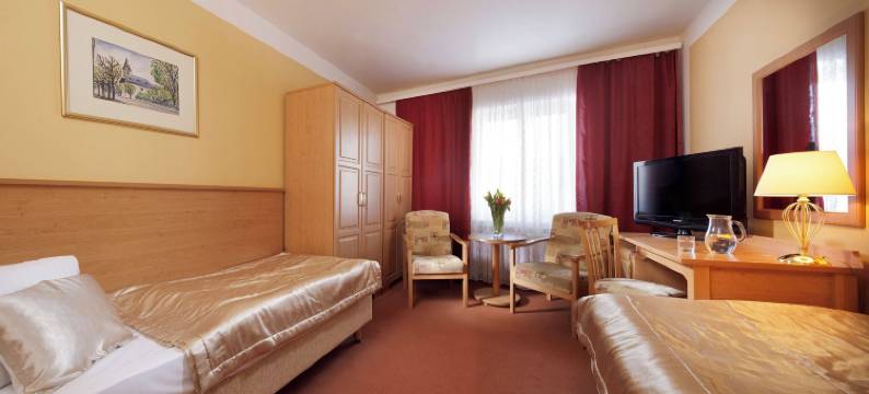 萨沃可豪泰Spa酒店(Savoy Spa & Kurhotel)图片