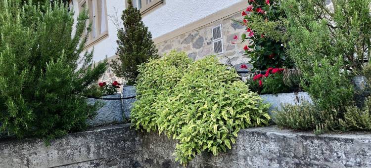 阿德尔别墅设计客房(Villa Adelees Boutique Hotel)图片