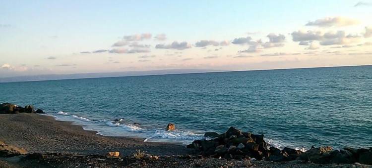 天堂酒店(Hotel Paradiso)图片