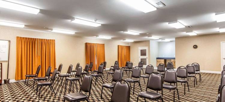 凯艺套房酒店(Quality Inn & Suites)图片