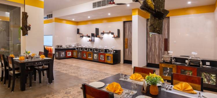 达斯图塔多巴(Tathastu Tadoba)图片