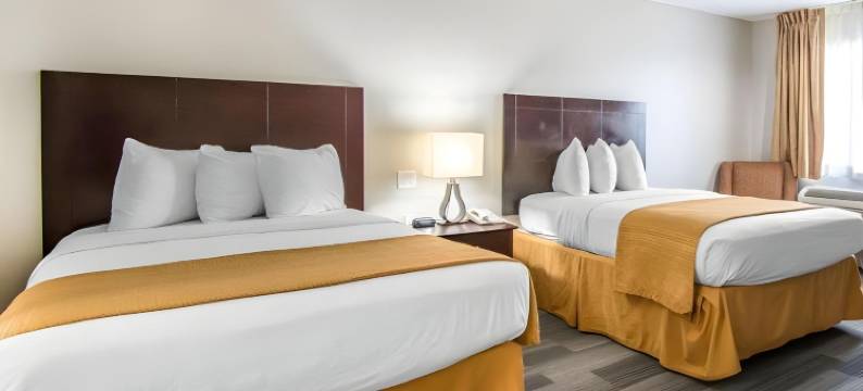 公园凯艺套房酒店(Quality Inn & Suites by the Parks)图片