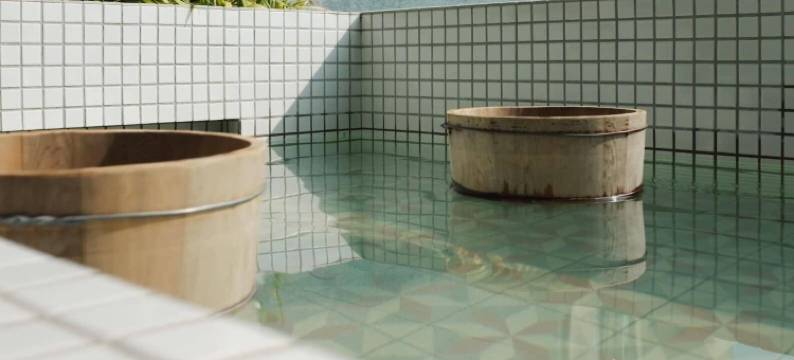 Hostel Tomato 番茄温泉旅店图片