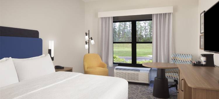 北坦帕希尔顿欢朋旅馆&套房酒店(Hampton Inn & Suites Tampa-North)图片