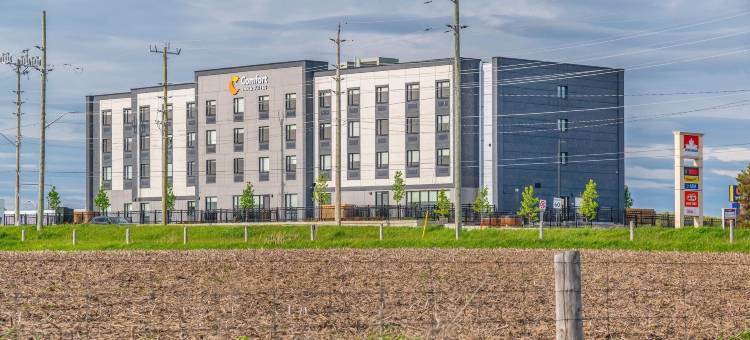 舒适酒店及套房(Comfort Inn  & Suites)图片