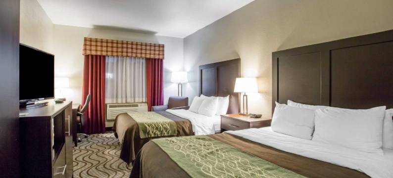 舒适套房酒店(Comfort Inn & Suites)图片