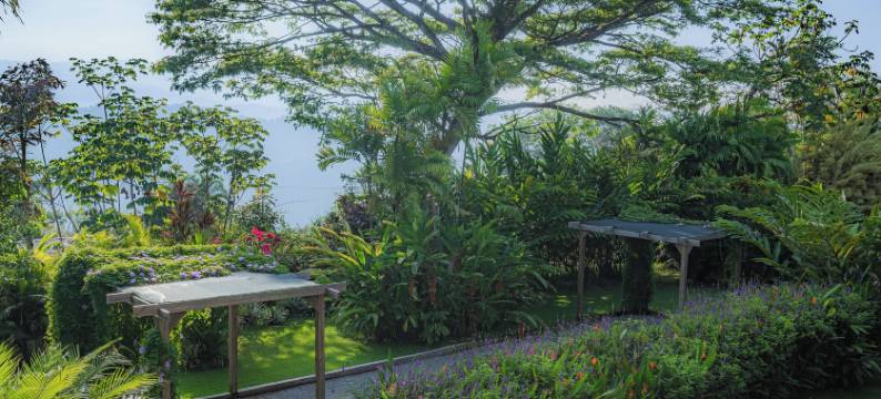 拉芒加塔豪华冲浪度假村(Lamangata Luxury Surf Resort)图片