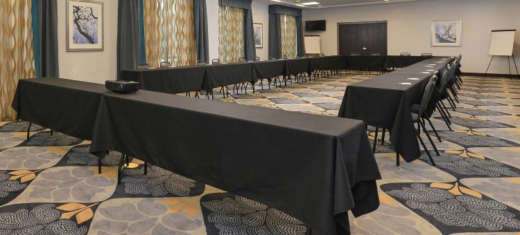 德梅因市中心希尔顿欢朋套房酒店(Hampton Inn & Suites des Moines Downtown)图片