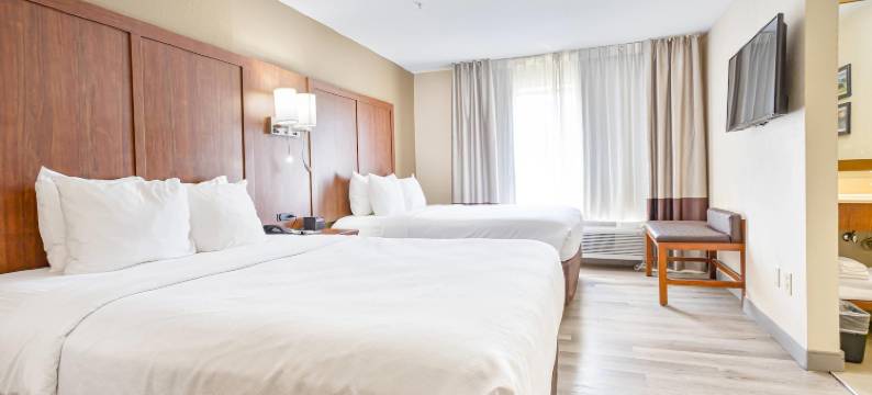 蒙哥马利东卡迈克尔路舒适套房酒店(Comfort Inn & Suites Montgomery East Carmichael Rd)图片