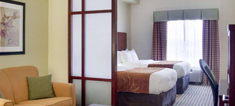 舒适套房酒店(Comfort Suites)图片