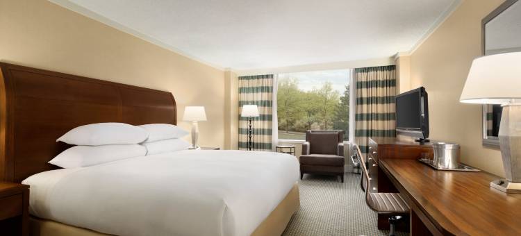 斯坦福希尔顿逸林酒店(DoubleTree by Hilton Stamford)图片