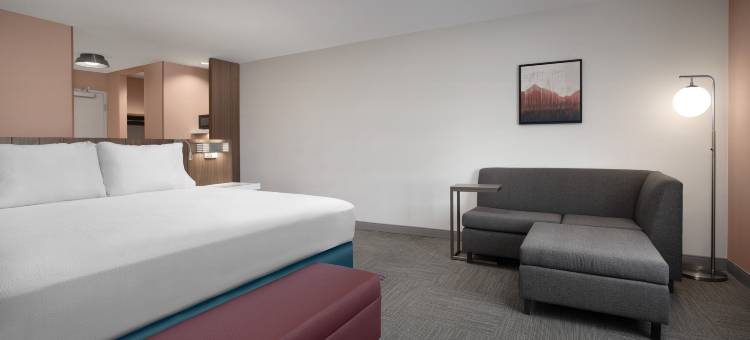 丹佛机场塔路希尔顿花园酒店(Hilton Garden Inn Denver Airport Tower Road)图片