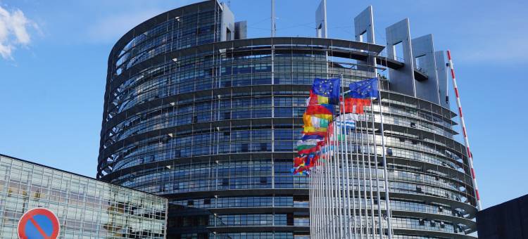 Holiday Inn Express 斯特拉斯堡 - 南基(Holiday Inn Express Strasbourg - Sud)图片