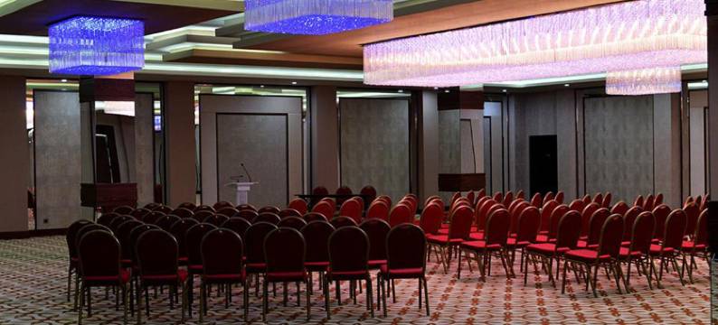 安尼蒙酒店-阿达纳(Anemon Grand Adana Otel)图片