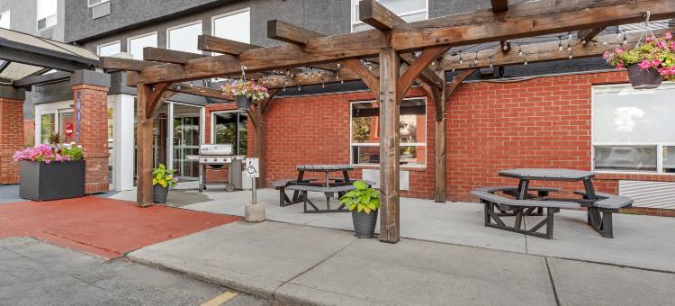 西埃德蒙顿贝斯特韦斯特优质酒店(Best Western Plus West Edmonton)图片