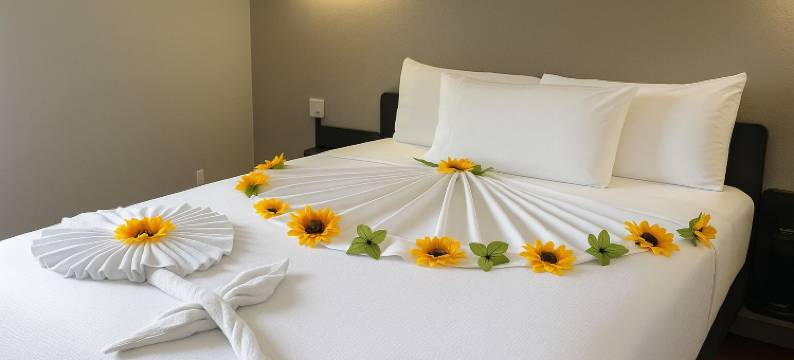 斯普林菲尔德工作室6号，弗吉尼亚州 – 华盛顿DC西南区(Studio 6 Springfield, VA - Washington DC Southwest)图片