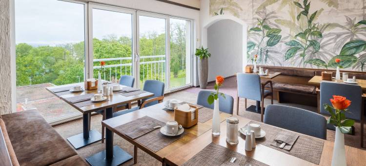 美因茨贝斯特韦斯特酒店(Best Western Hotel Mainz)图片