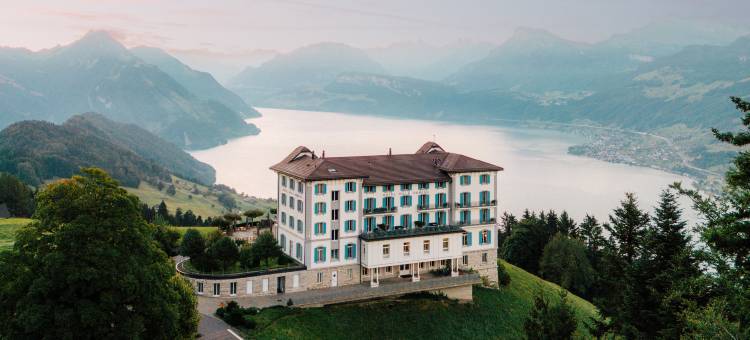 霍尼格别墅(Hotel Villa Honegg)图片