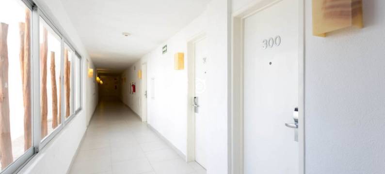 安达拉快捷酒店(Adhara Express)图片