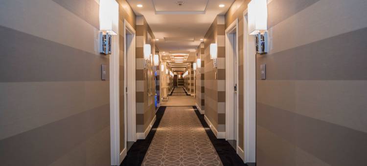 卡尔加里桑德曼签章机场酒店(Sandman Signature Calgary Airport Hotel)图片